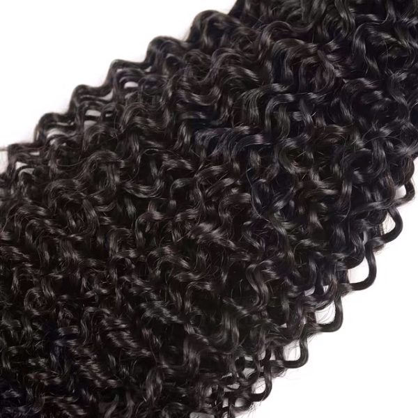 Peruvian Kinky Curly Bundle [1 bundle]-humam hair 1pc/100g remy virgin