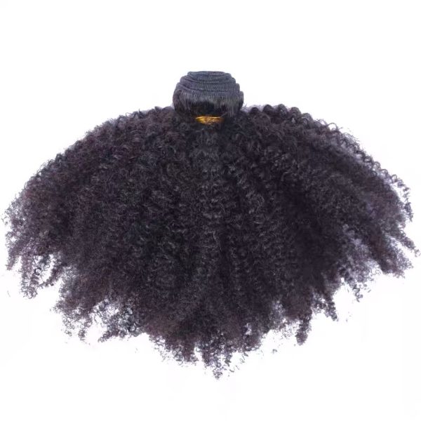 Hairstyle360 10a Afro Kinky Curl Brazilian Human Hair+frontal