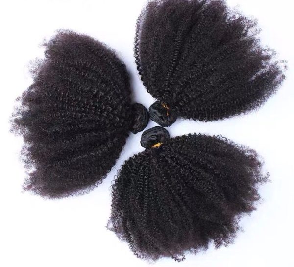 Afro Kinky Curl Brazilian Bundle with Frontal 2