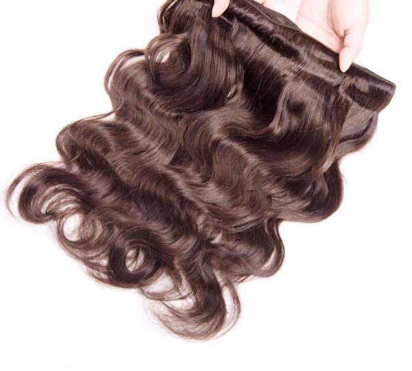 Hairstyle360 Body Wave Brown Colour Brazilian Human Human Hair +Closure