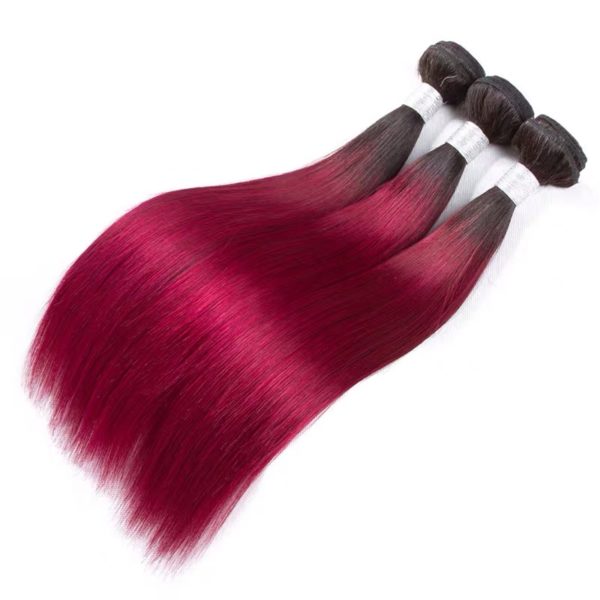 Hairstyle360 10a Ombre Wine Colour Brazilian Straight Human Hair +Closure