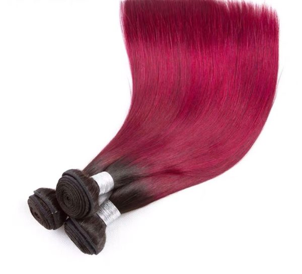 Hairstyle360 10a Ombre Wine Colour Brazilian Straight Human Hair +Closure