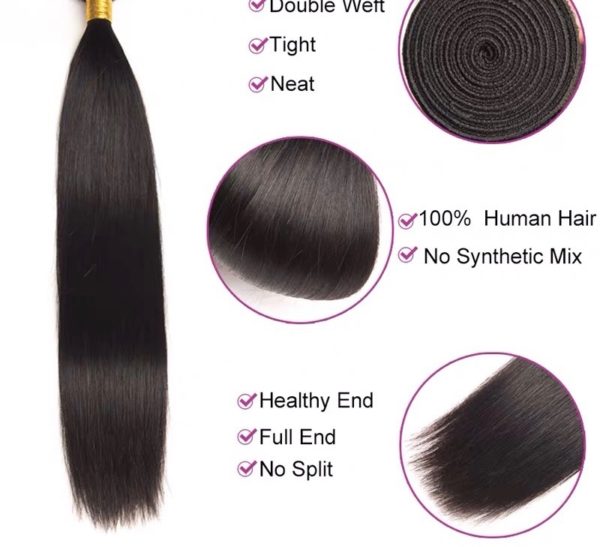 Hairstyle360 Straight Peruvian Virgin Human Hair +Closure