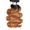 10A Ombre Brown Color Body Wave Brazilian Virgin Human Hair