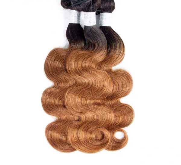 10A Ombre Brown Color Body Wave Brazilian Virgin Human Hair